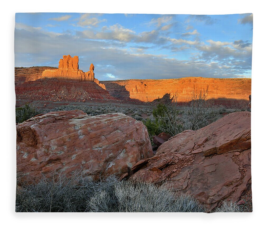 Valley Of The Gods Fleece Blanket featuring the photograph Last Light on Valley of the Gods by Ray Mathis