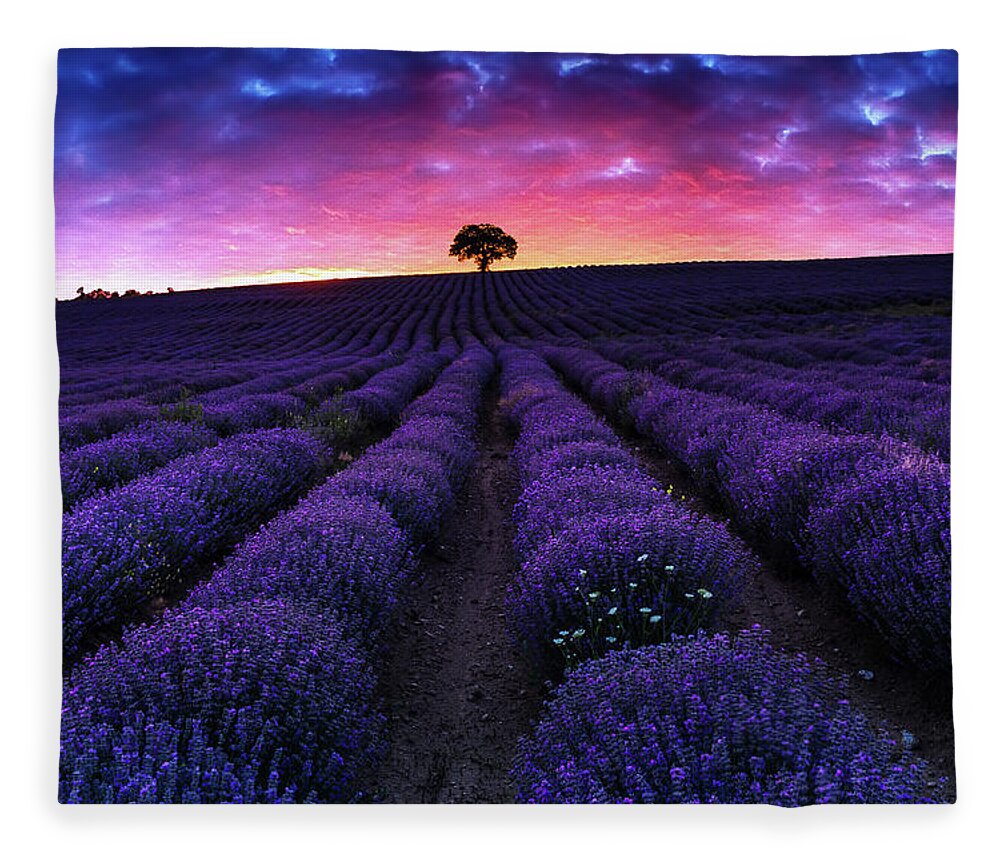 Afterglow Fleece Blanket featuring the photograph Lavender Dreams by Evgeni Dinev