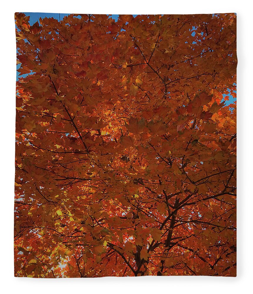 Fall Fleece Blanket featuring the photograph Leaves of Fire by Lora J Wilson