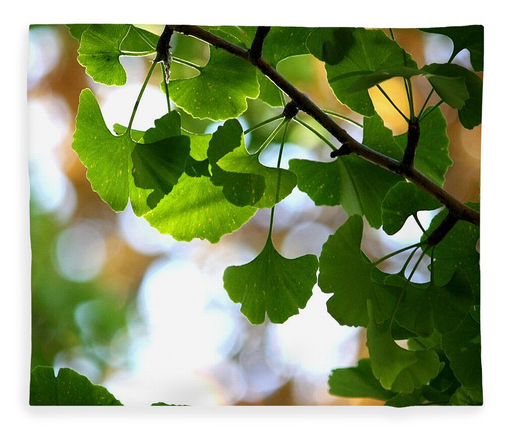 Ginkgo Tree Fleece Blanket featuring the photograph Leaves On A Ginko Tree by Christopher Biggs