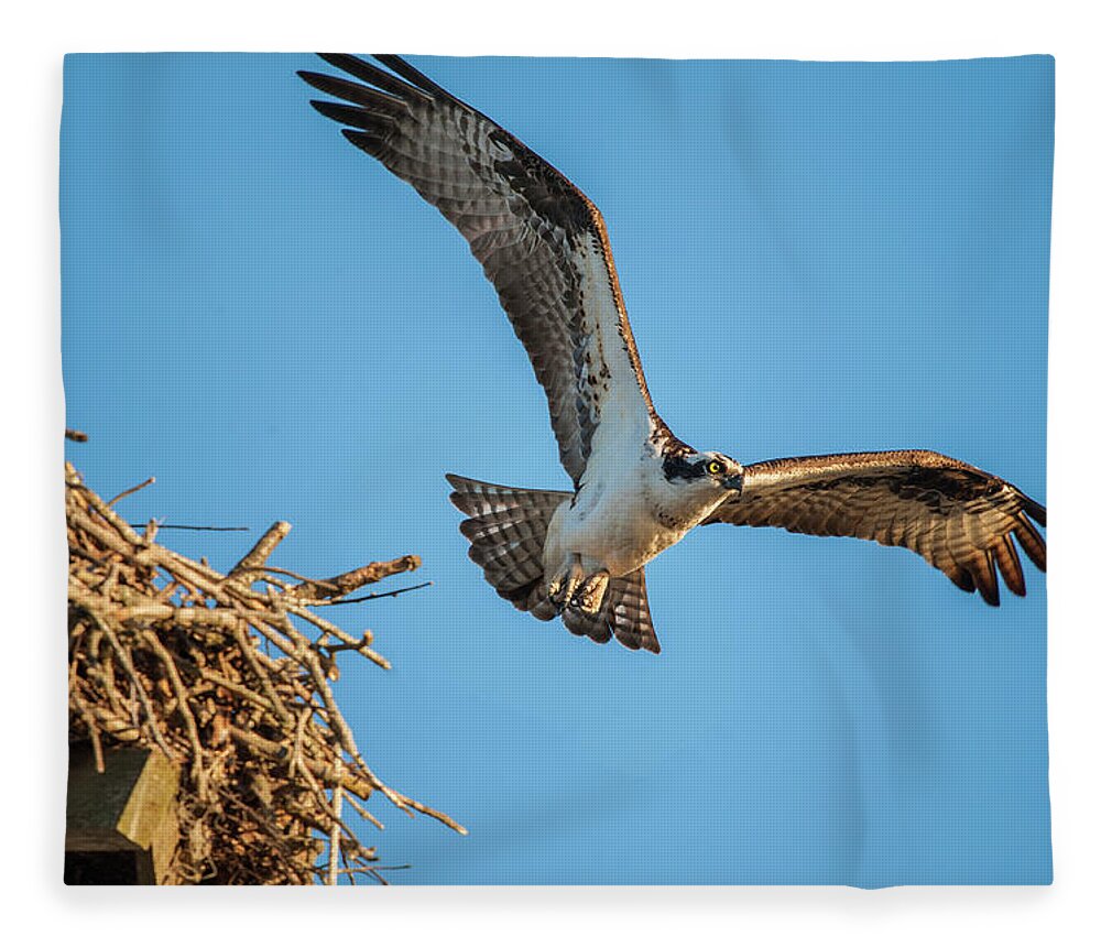 Nature Fleece Blanket featuring the photograph Leaving The Nest by Cathy Kovarik