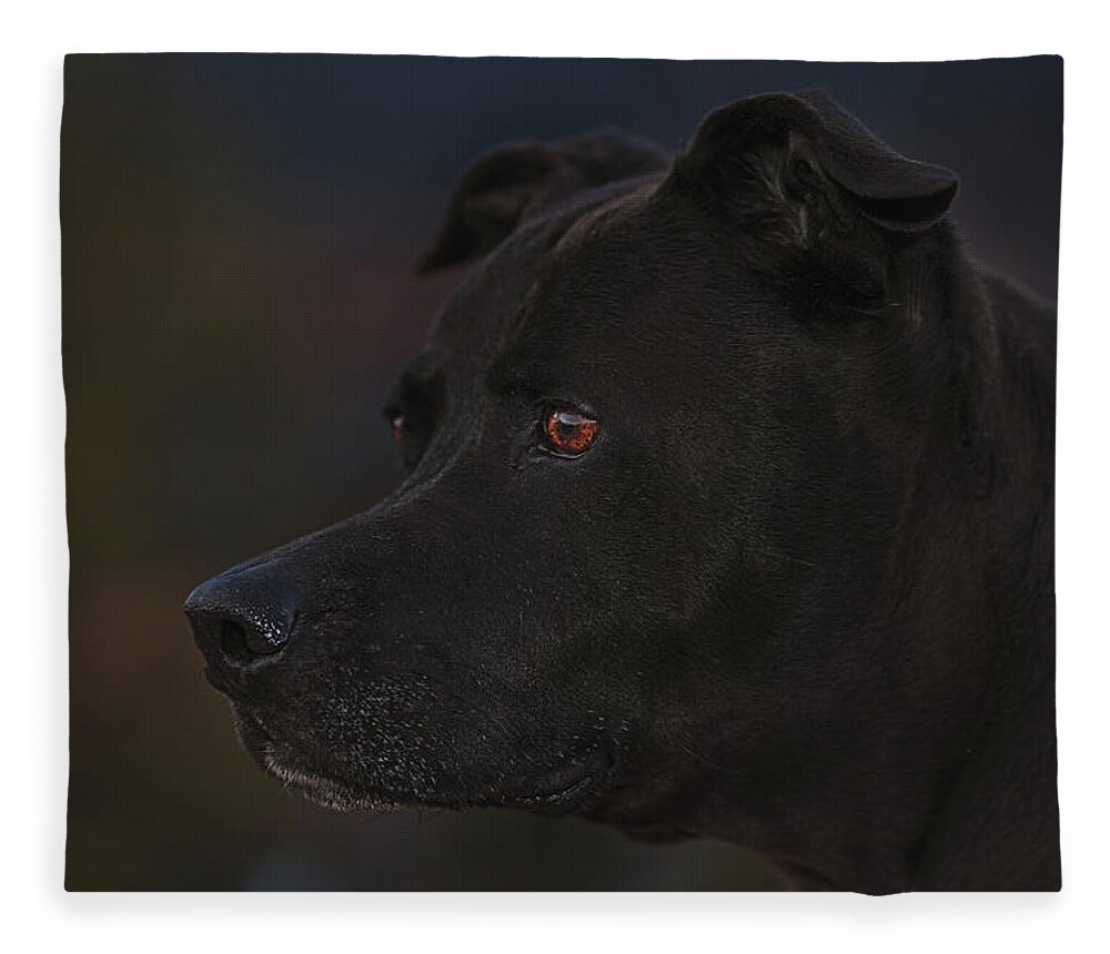Animal Fleece Blanket featuring the photograph Leroy by Brian Cross