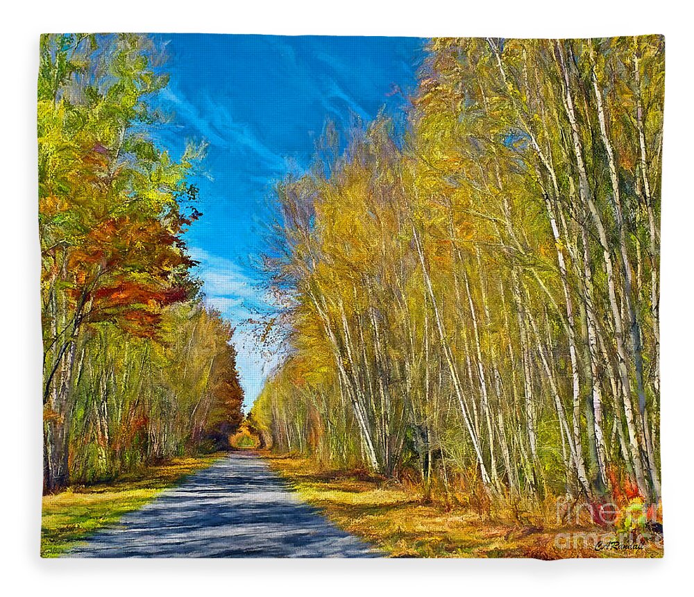 Birches Fleece Blanket featuring the photograph Down the Spring Birch Road by Carol Randall