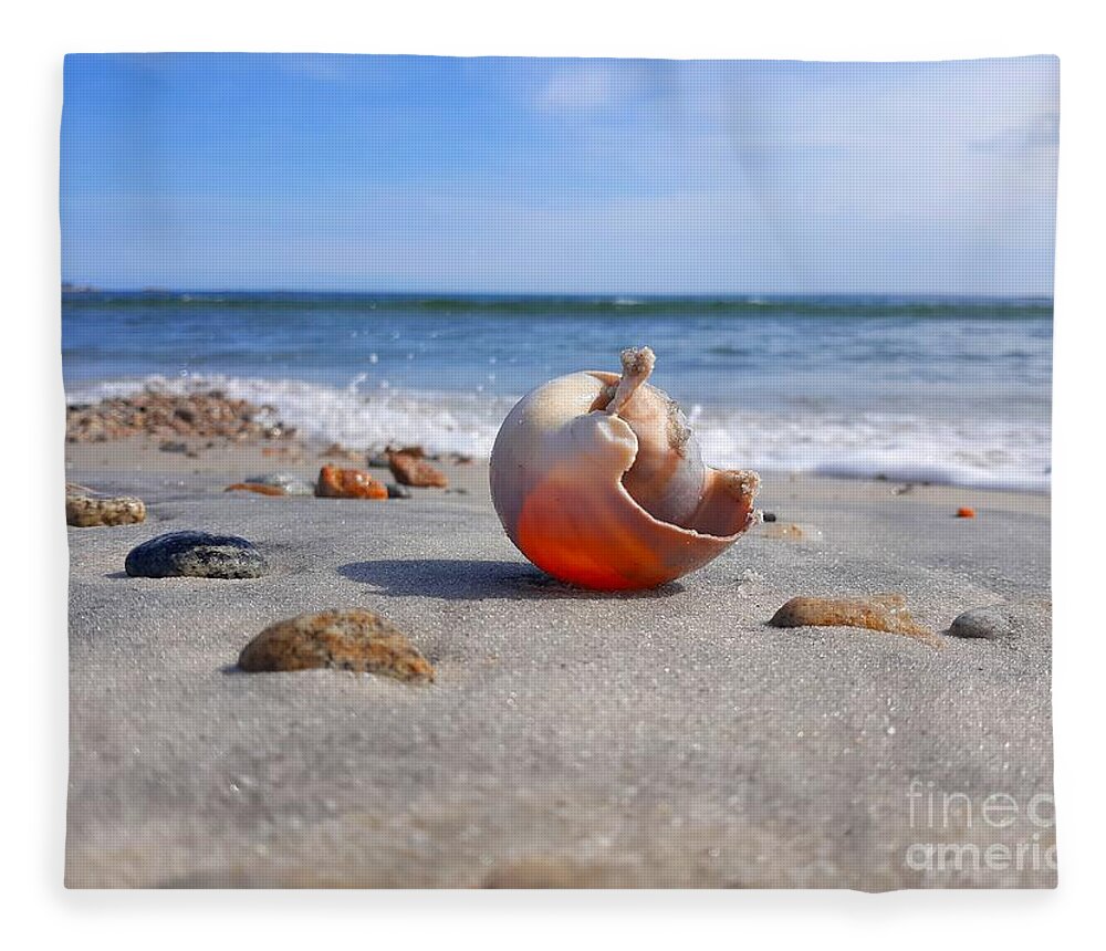 Shell Fleece Blanket featuring the photograph Let The Sunshine In/ Inner Peace by Dani McEvoy