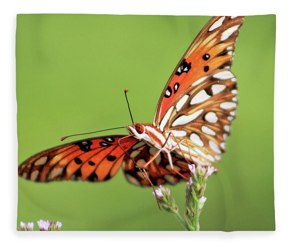 Butterfly Fleece Blanket featuring the photograph Life in Balance by Michael Allard
