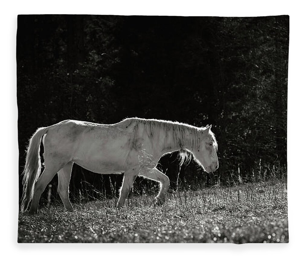 Horse Fleece Blanket featuring the photograph Life is an Uphill Battle by Holly Ross