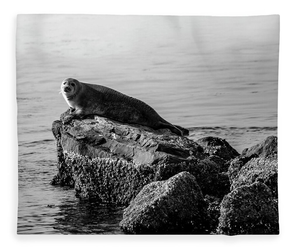 Harbor Seal Fleece Blanket featuring the photograph Lifting Fog by Cathy Kovarik