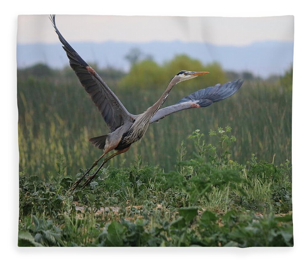 Great Fleece Blanket featuring the photograph Lifting Off by Christy Pooschke
