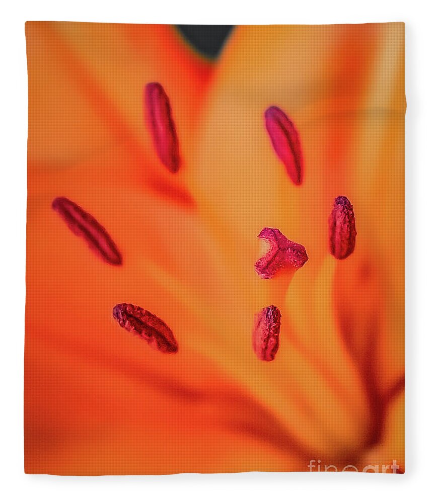 Lily Fleece Blanket featuring the photograph Lily Stamen and Pistil by Melissa Lipton