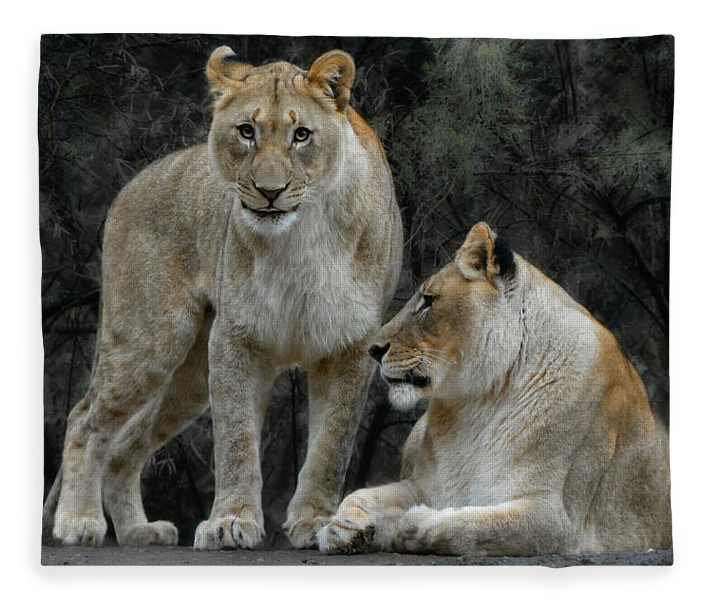 Animals In The Wild Fleece Blanket featuring the photograph Lion Cub And Lioness by Joachim G Pinkawa