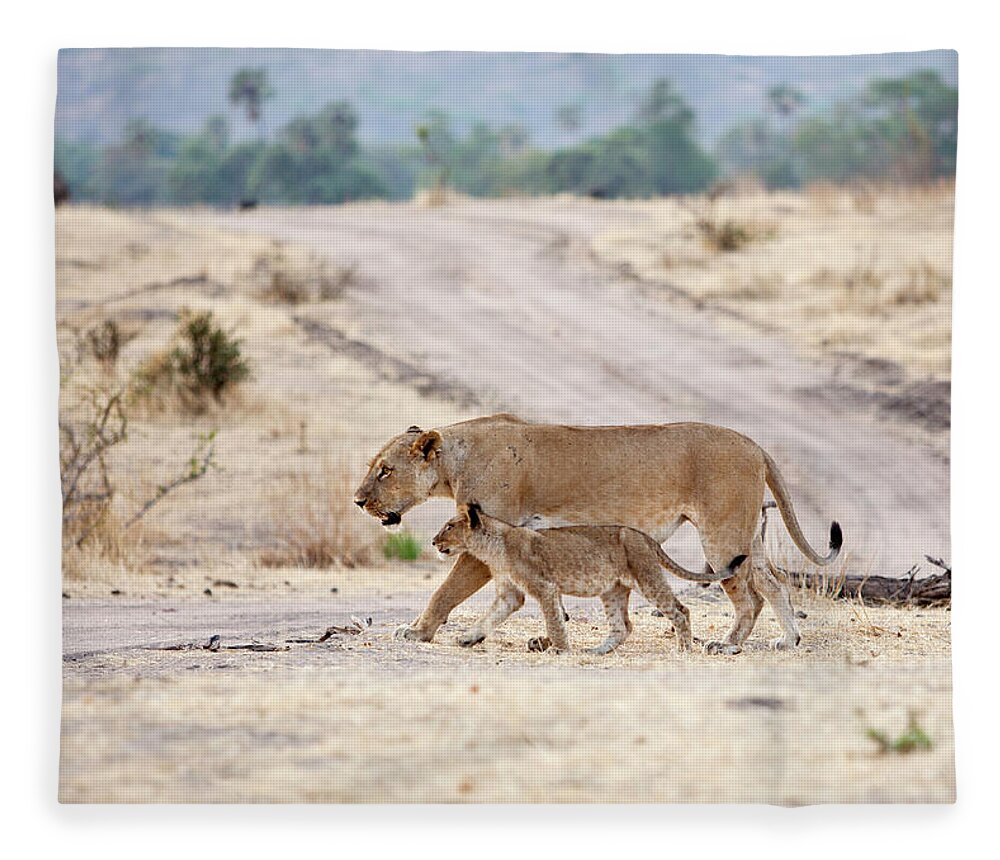 Tanzania Fleece Blanket featuring the photograph Lioness With Cub Crossing The Road In by Brittak