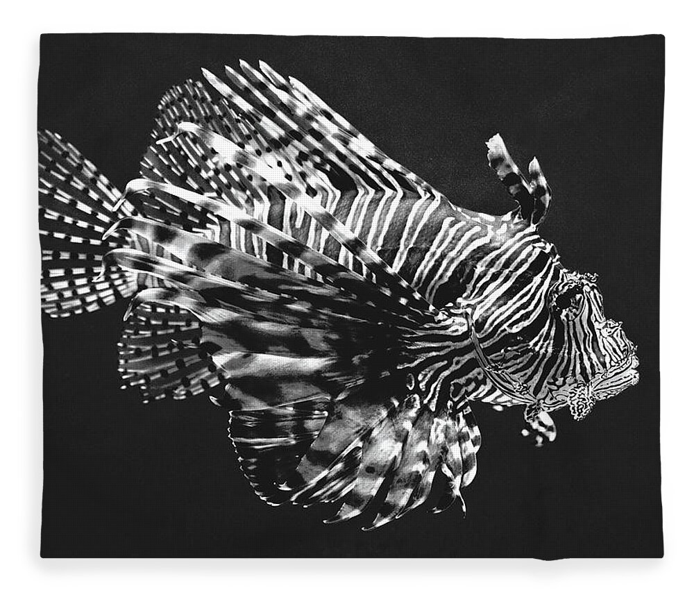 Lionfish Fleece Blanket featuring the photograph Lionfish by Lucie Dumas