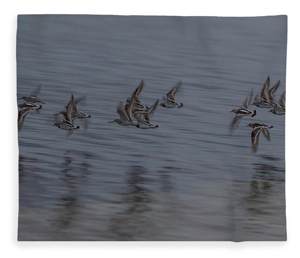 Birds Fleece Blanket featuring the photograph Little birds flying, Cancun, Mexico by Julieta Belmont
