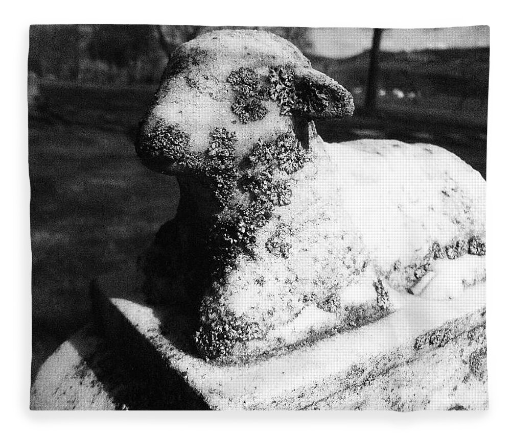 Lamb Fleece Blanket featuring the photograph Little lamb by Jean Evans
