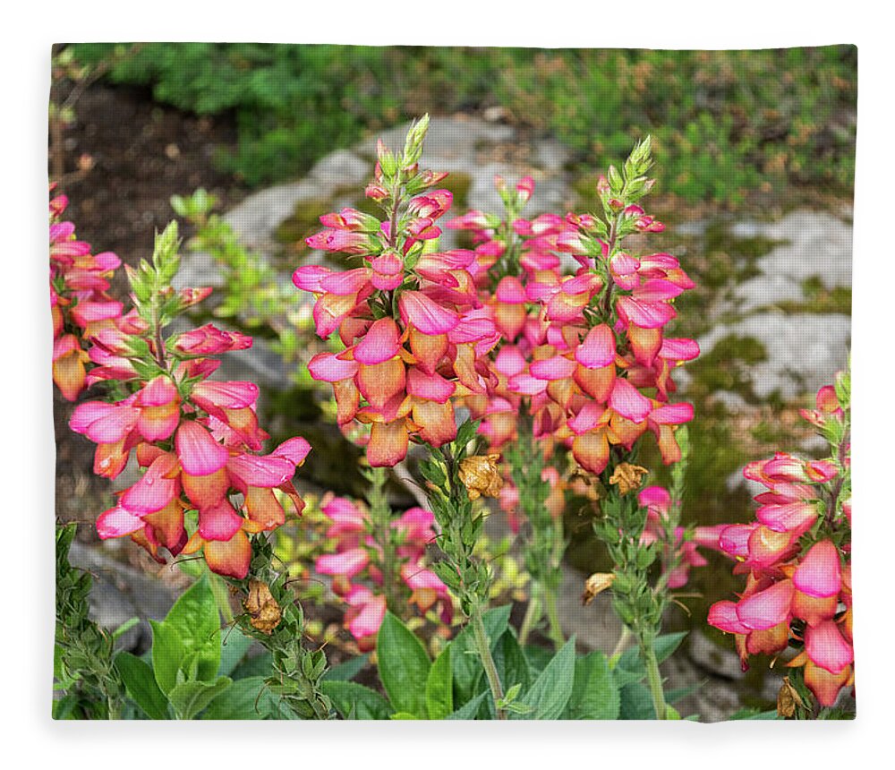 Living Coral Colored Flowers Refreshed by Summer Rain Fleece
