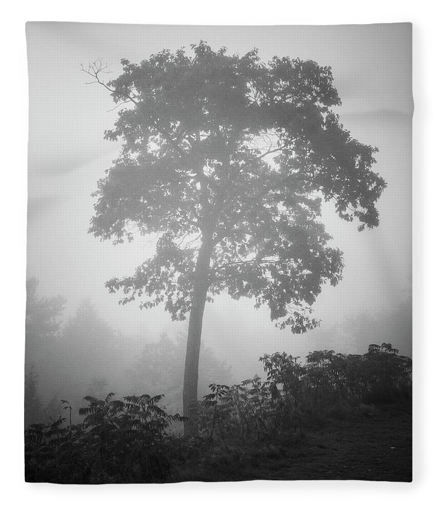 Arbor Fleece Blanket featuring the photograph Lone Tree and Fog BW by David Gordon