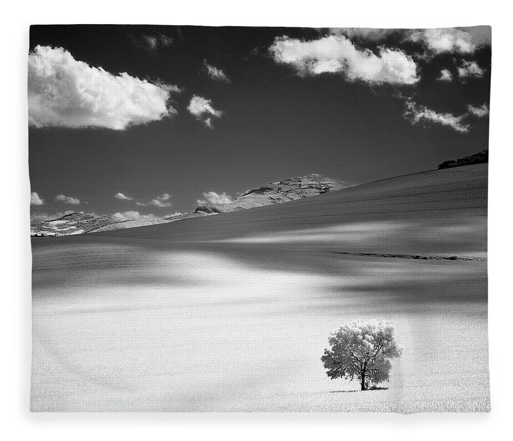 Shadow Fleece Blanket featuring the photograph Lonely Tree On Mountain by Martin Zalba