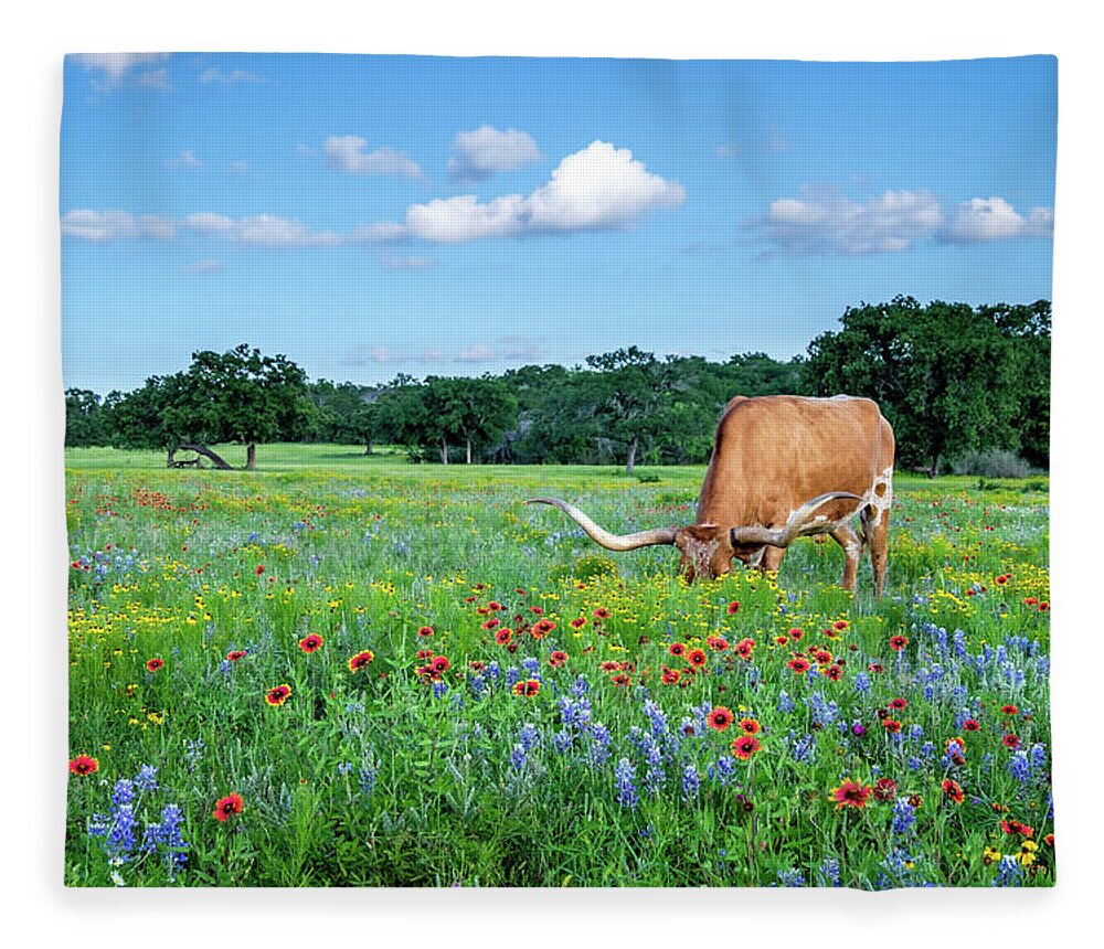 Texas Wildflowers Fleece Blanket featuring the photograph Longhorn In Bluebonnets by Johnny Boyd