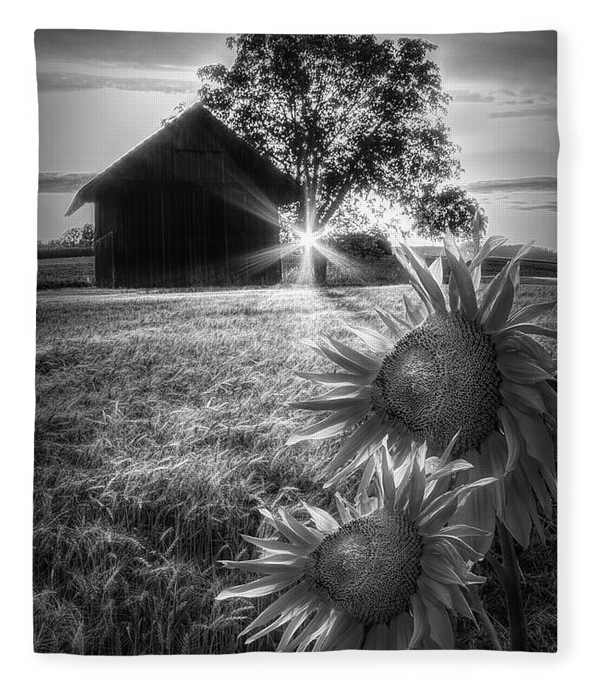 Barns Fleece Blanket featuring the photograph Longing in Black and White by Debra and Dave Vanderlaan