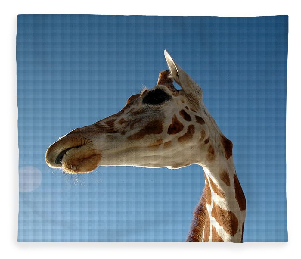 Glen Rose Fleece Blanket featuring the photograph Looking Up At A Giraffe by Kaishin Chu | Onelushlife