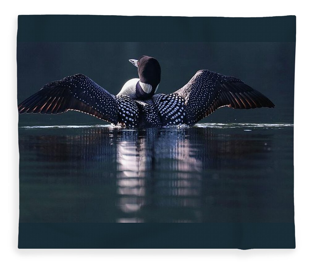Common Loon Fleece Blanket featuring the photograph Loon Warming In The Sun by Sandra Huston