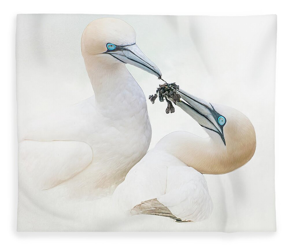Gannets Fleece Blanket featuring the photograph Love Is -----a bunch of seaweed by Brian Tarr