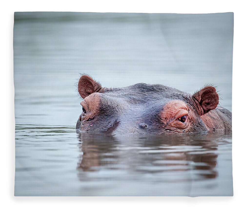 Low Angle Portrait Of A Swimming Hippo Fleece Blanket