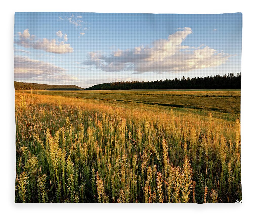 Arizona Fleece Blanket featuring the photograph Lower Lake Mary at Sunset by Jeff Goulden