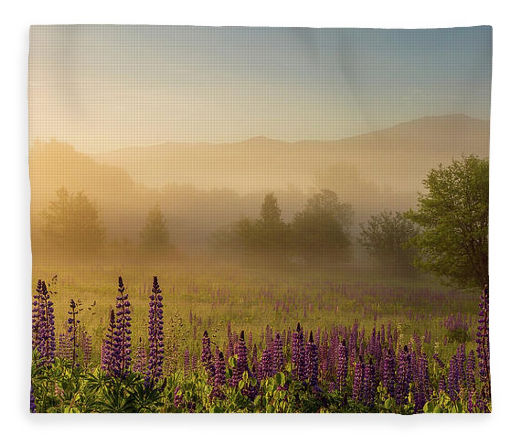 Amazing New England Artworks Fleece Blanket featuring the photograph Lupine In The Fog, Sugar Hill, NH by Jeff Sinon