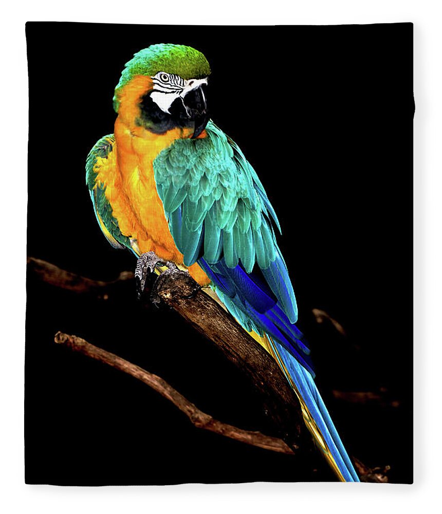 Macaw Fleece Blanket featuring the photograph Macaw by David Keith Jr. (all Rights Reserved)