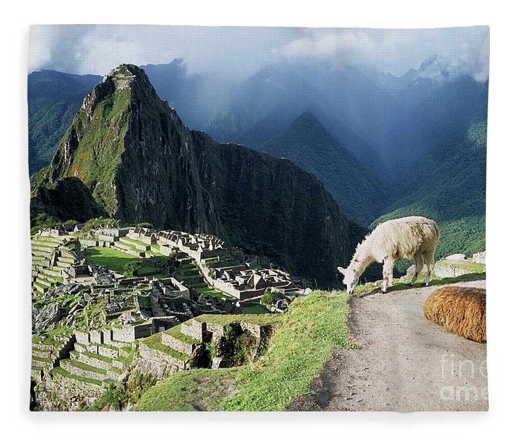Machu Picchu Fleece Blanket featuring the photograph Machu Picchu and llamas by James Brunker