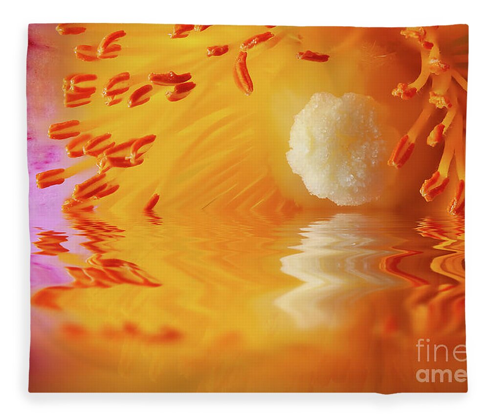 Cistus Fleece Blanket featuring the photograph Macro Cistus flower stamen in water by Simon Bratt