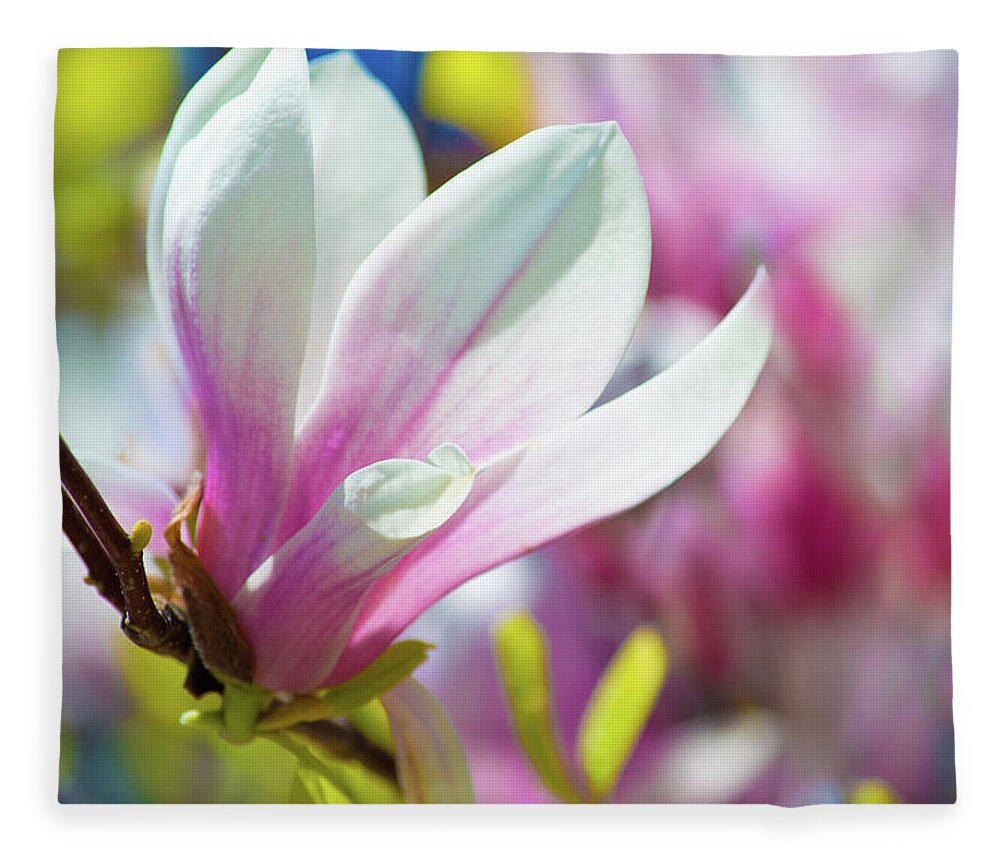Art Fleece Blanket featuring the photograph Magnolia Flower IV by Joan Han