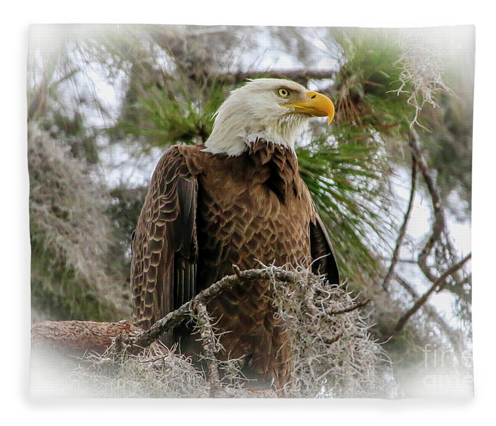 Eagle Fleece Blanket featuring the photograph Majestic Perch by Tom Claud