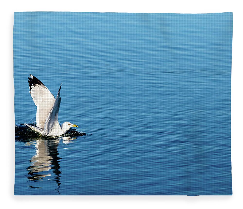 Ripple Fleece Blanket featuring the photograph Make a Splash by SAURAVphoto Online Store