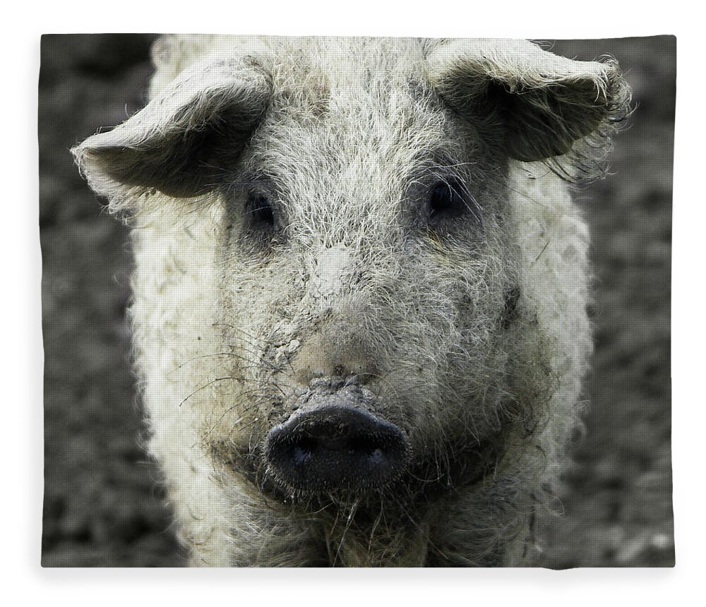 Pig Fleece Blanket featuring the photograph Mangalica Pig Portrait by Halfoto.hu