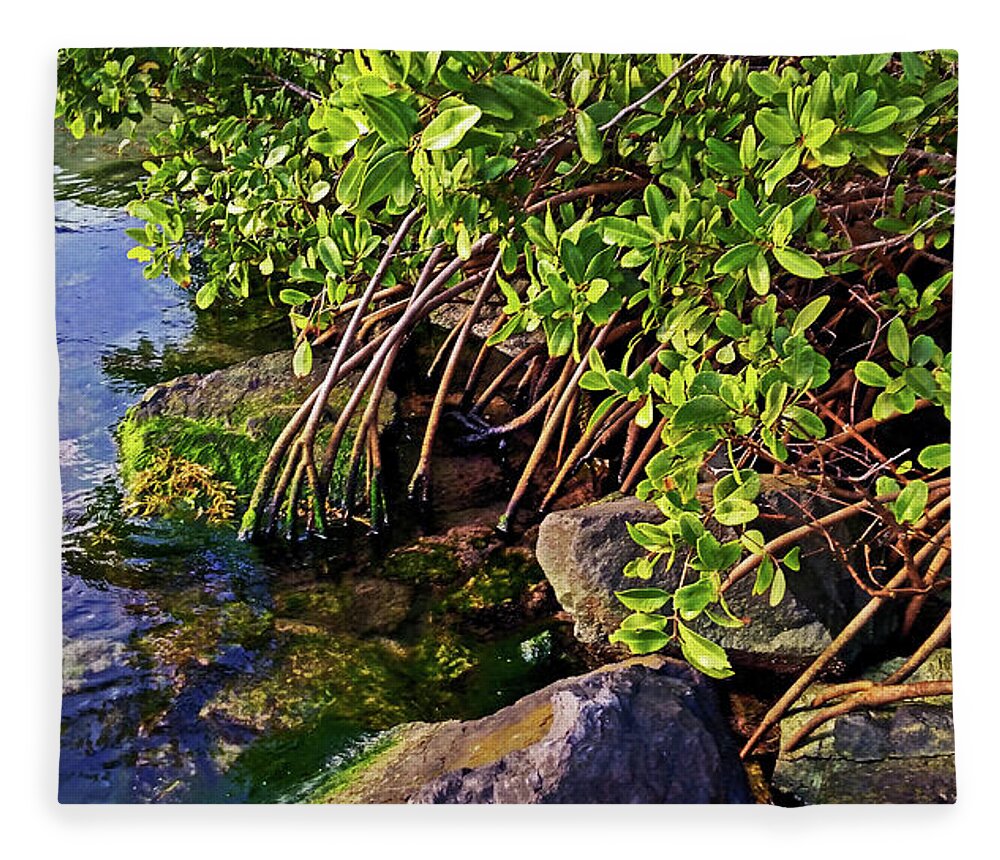 Mangrove Fleece Blanket featuring the photograph Mangrove Bath by Climate Change VI - Sales