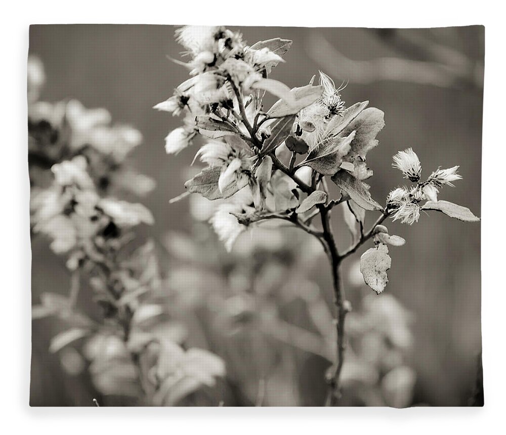 Season Fleece Blanket featuring the photograph Marsh Plant In Autumn Bloom by Joseph Shields
