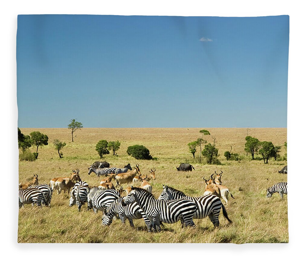 Kenya Fleece Blanket featuring the photograph Masai Mara by Mac99