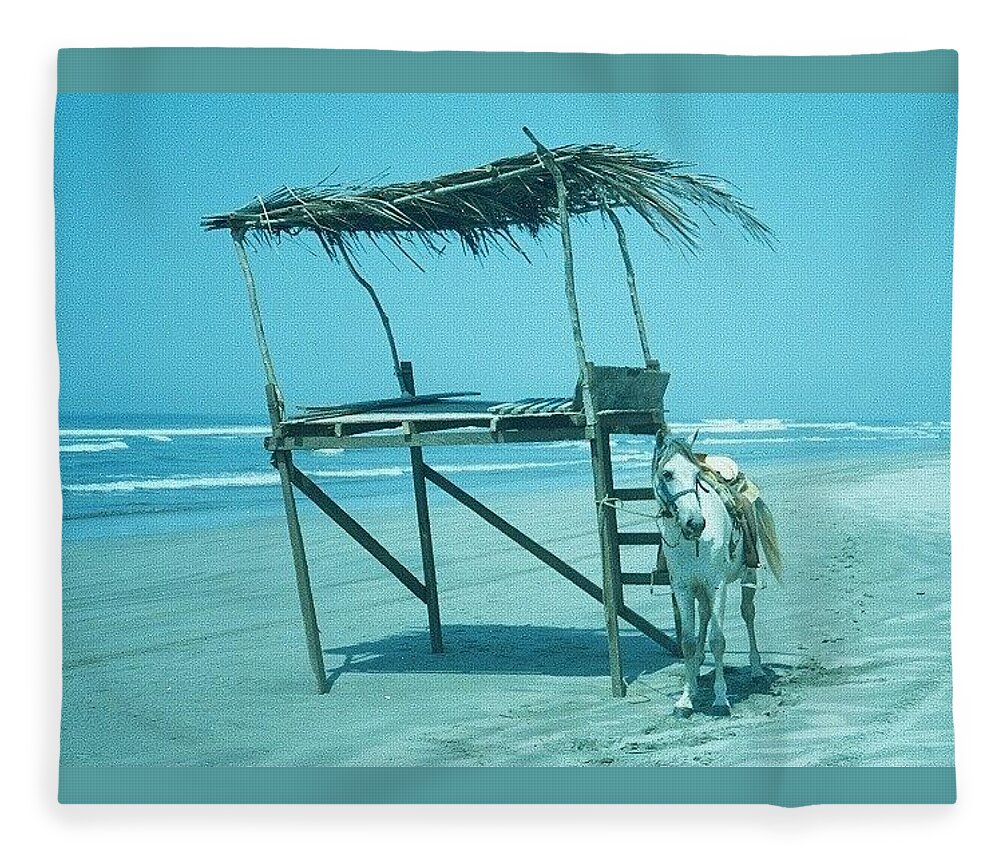 Horse Fleece Blanket featuring the photograph Mexican lifeguard stand by Fred Bailey