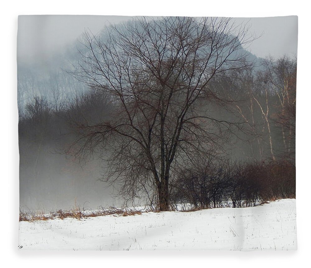 Thicket Fleece Blanket featuring the photograph Misty Tree by Wild Thing
