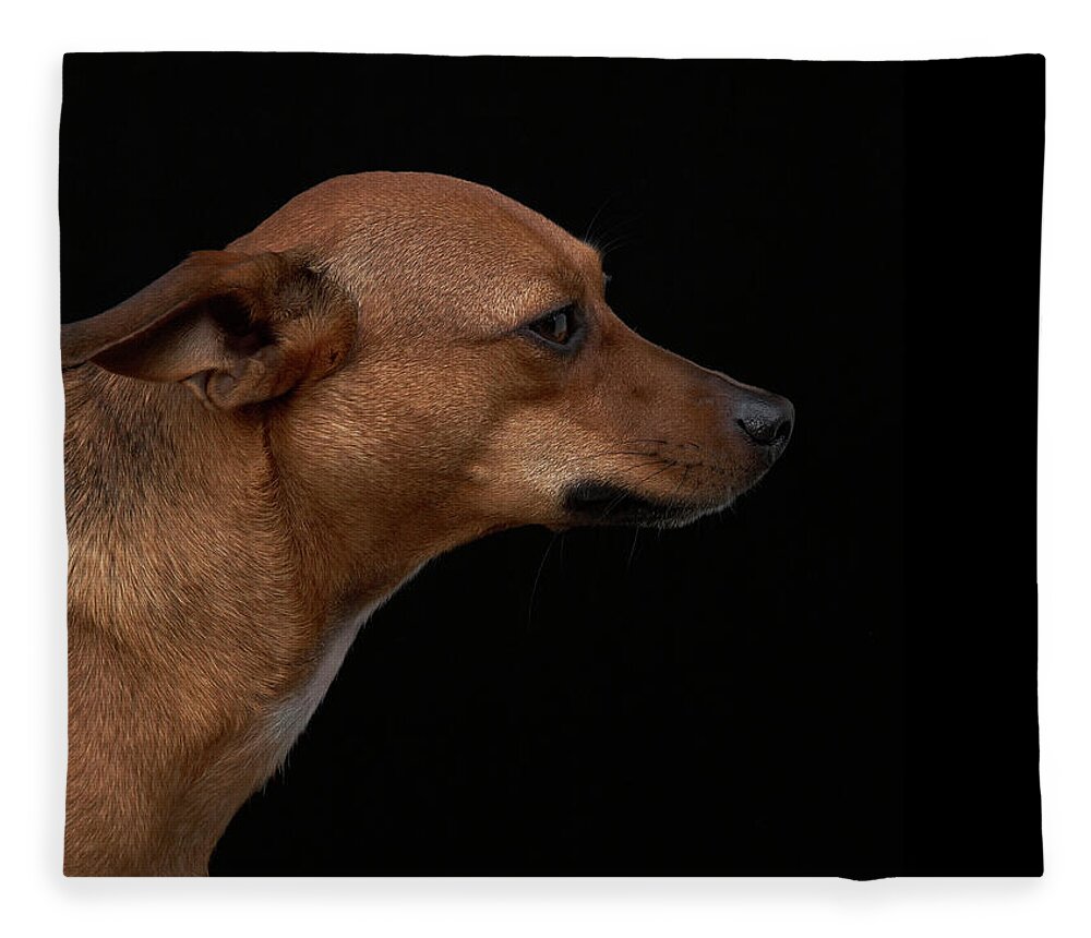 Pets Fleece Blanket featuring the photograph Mixed Breed Dog Profile On Black by M Photo
