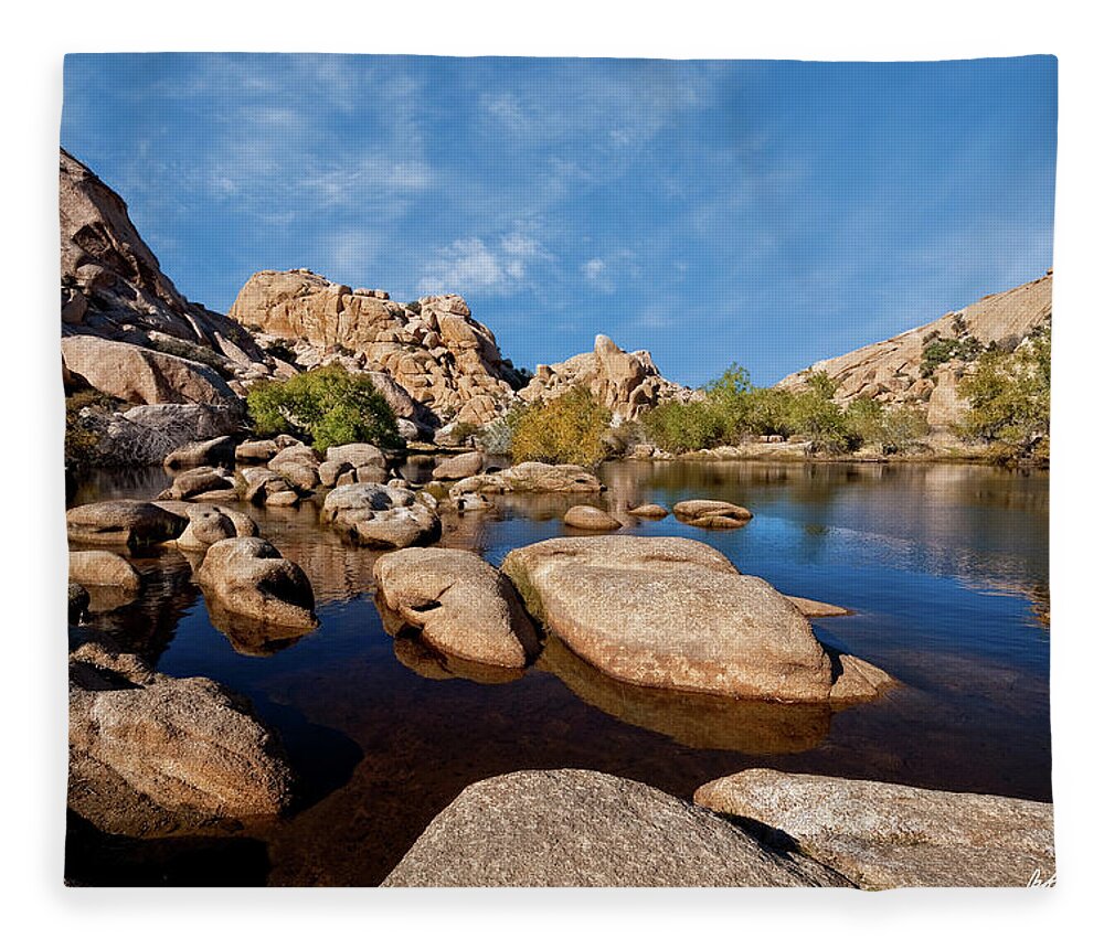Arid Climate Fleece Blanket featuring the photograph Mojave Desert Oasis by Jeff Goulden