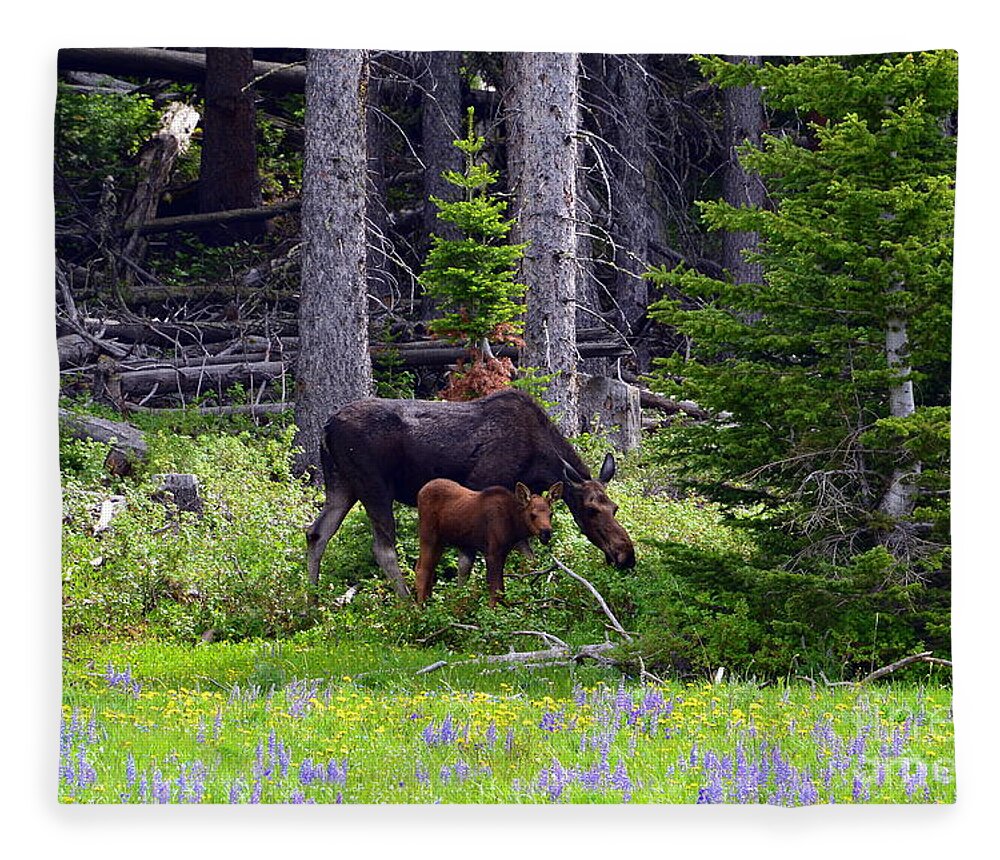 Moose Fleece Blanket featuring the photograph Mom and Baby by Dorrene BrownButterfield