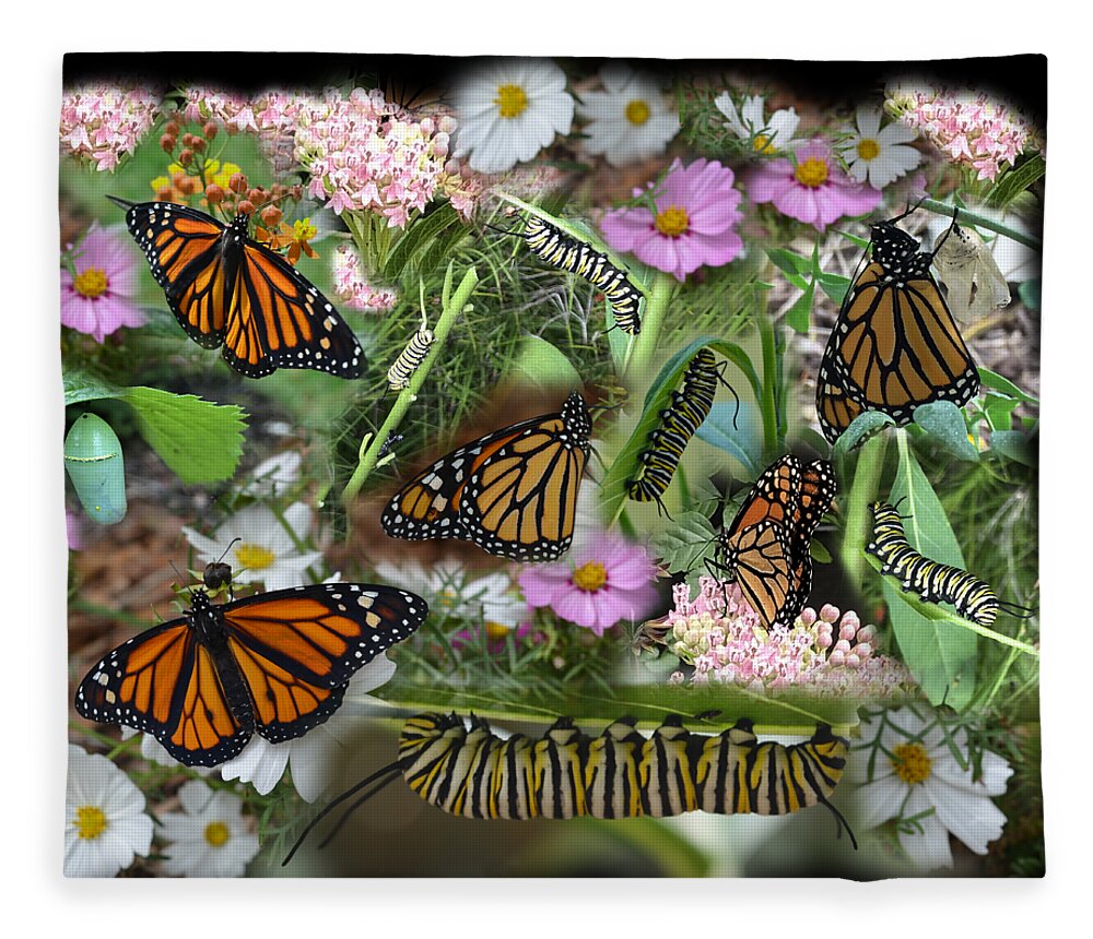 Monarch Fleece Blanket featuring the photograph Monarch Collage by Aimee L Maher ALM GALLERY