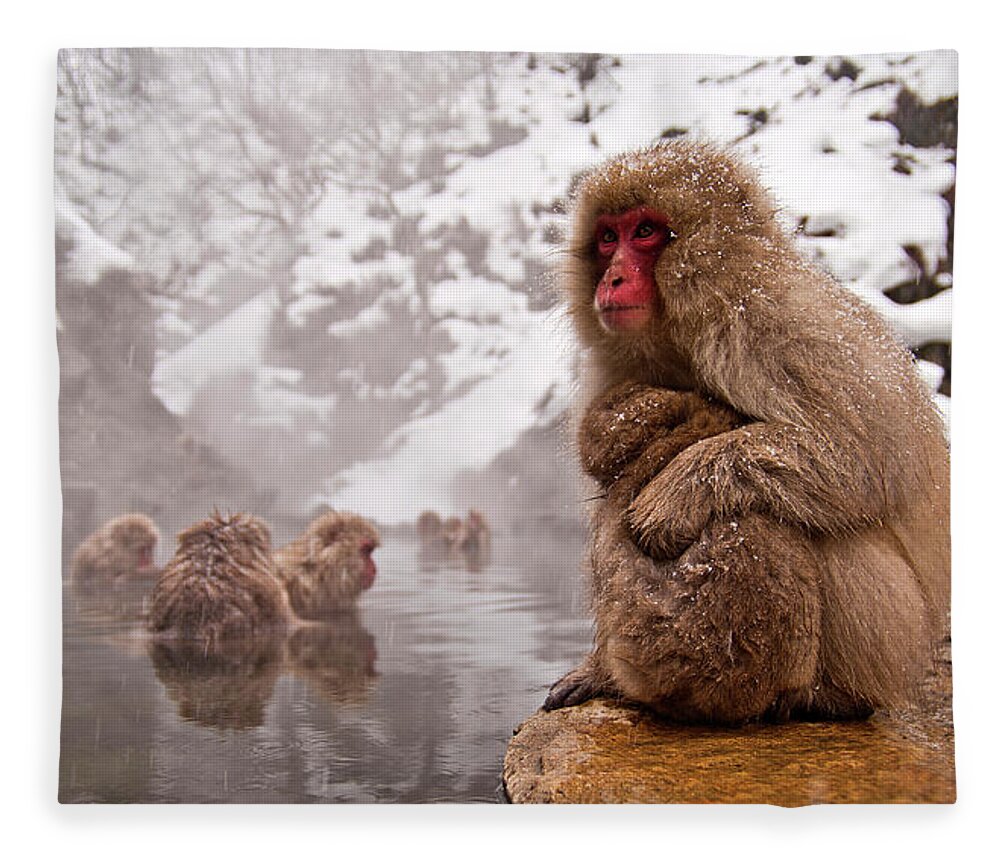 Snow Fleece Blanket featuring the photograph Monkey by Photographer Aron Pena