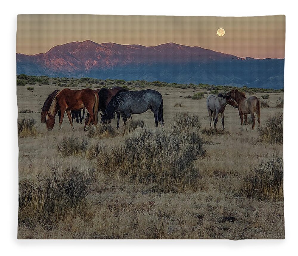  Fleece Blanket featuring the photograph Moonset by John T Humphrey