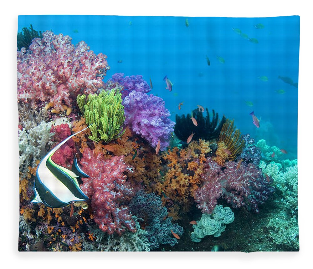 Underwater Fleece Blanket featuring the photograph Moorish Idol Zanclus Cornutus Fish On by Darryl Leniuk