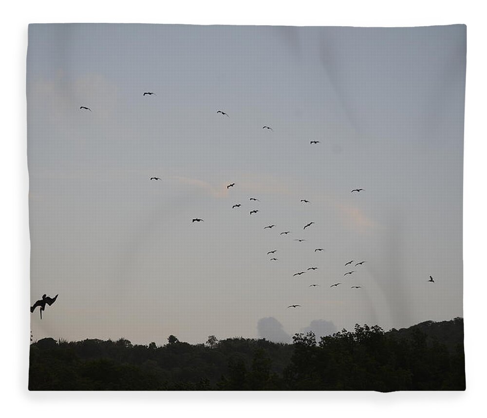 Brown Pelican Fleece Blanket featuring the photograph Morning Flock Rise by Climate Change VI - Sales
