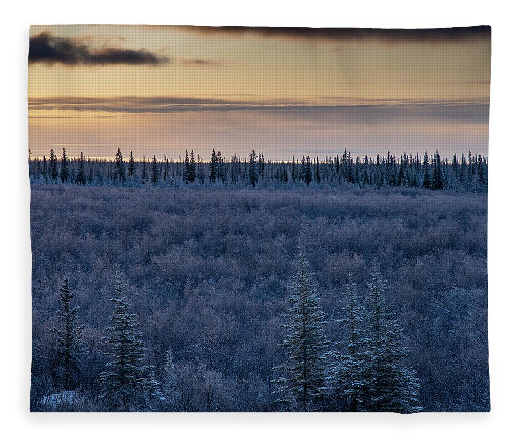 Dawn Fleece Blanket featuring the photograph Morning Frost by Mark Hunter